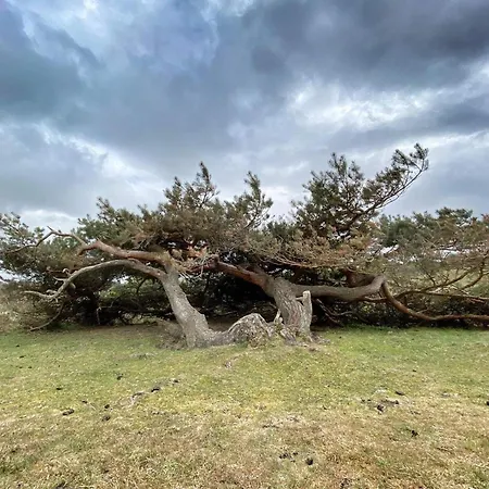 Prázdninový dům 5 Person In Graested-by Traum *