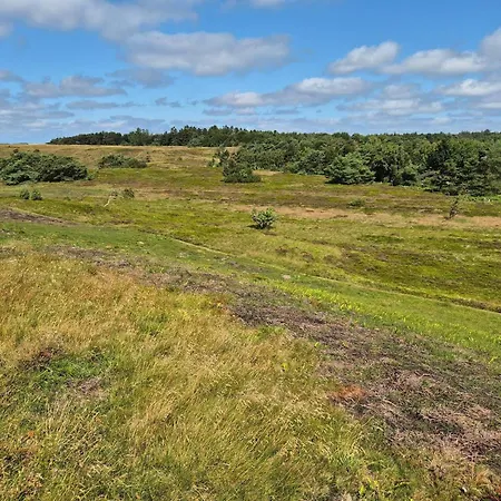 5 Person In Graested-by Traum Græsted