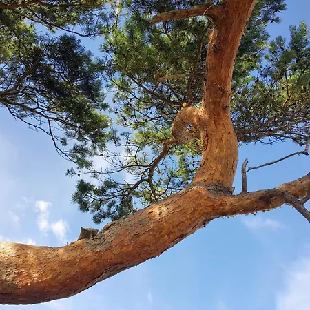 5 Person In Graested-by Traum Prázdninový dům Græsted